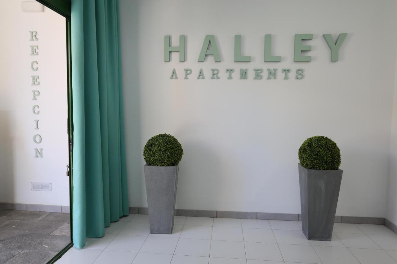 Halley Rooms Mogán Dış mekan fotoğraf